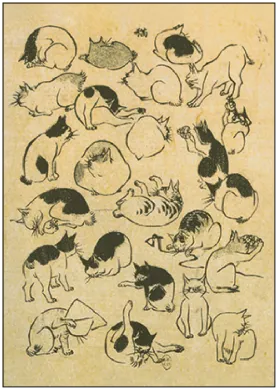 Postkarten Coole Katzen - Verschiedene Varianten