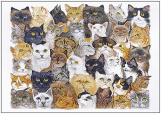 Postkarten Coole Katzen - Verschiedene Varianten